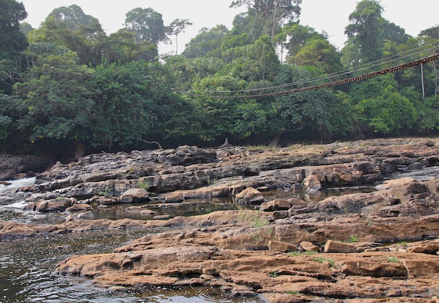 Mana suspension bridge leading to Korup National Park. Southwest Region, Cameroon