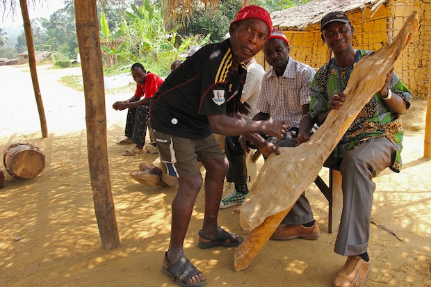 Barkcloth and the wood used to make it. Lipenja II, Southwest Region, Cameroon