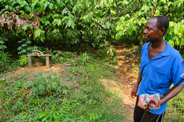 Entrance to cocoa farm in forest, Southwest Region, Cameroon. This land is earmarked for the Herakles Farms plantation.